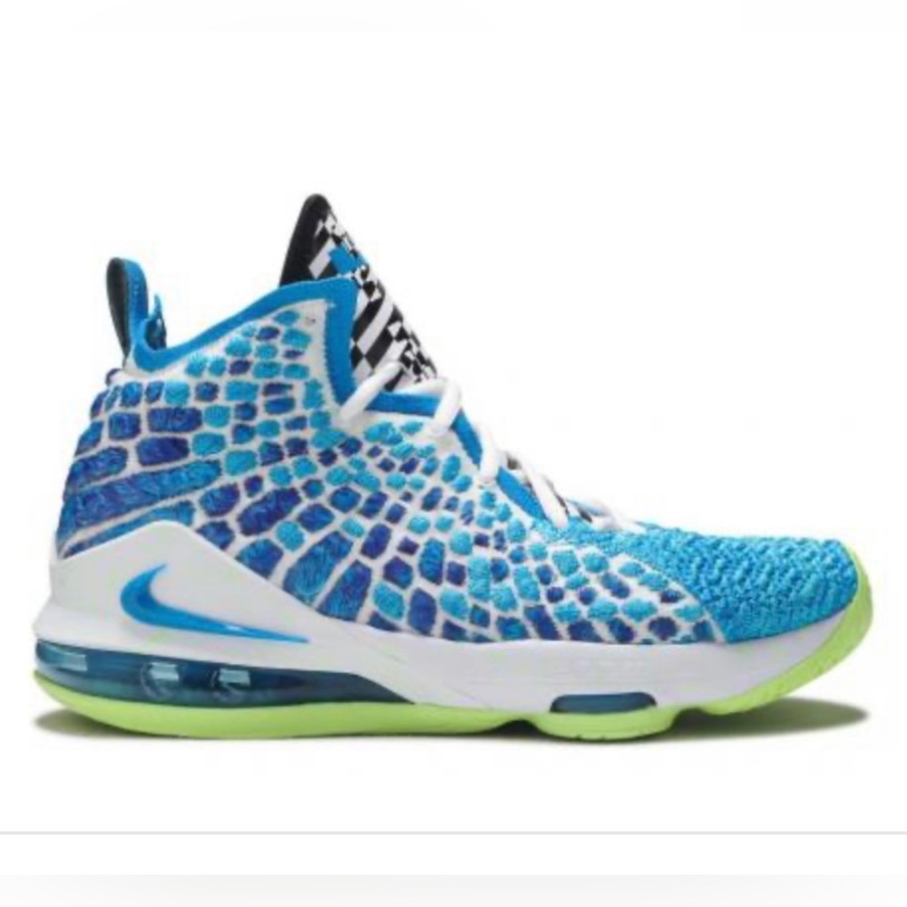 Nike Lebron 17